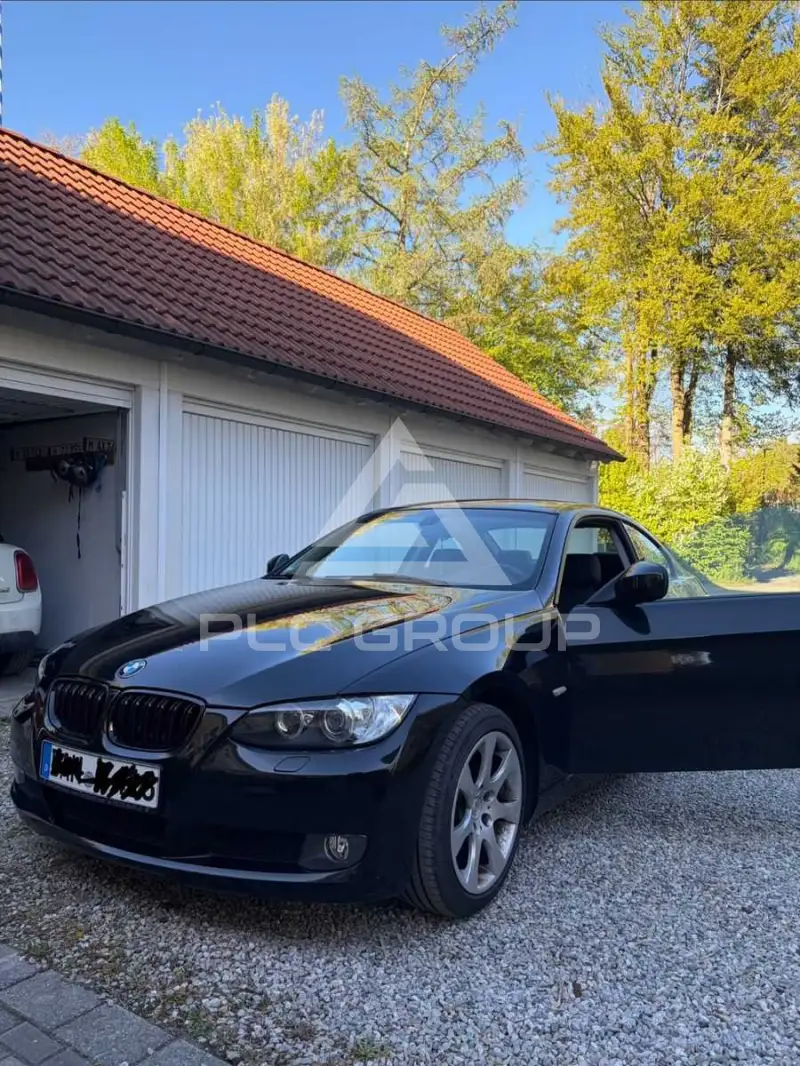 2010 BMW 320