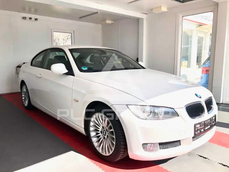 2010 BMW 320