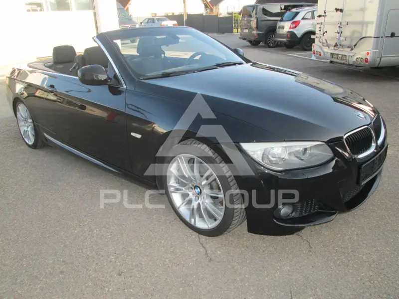 2010 BMW 320