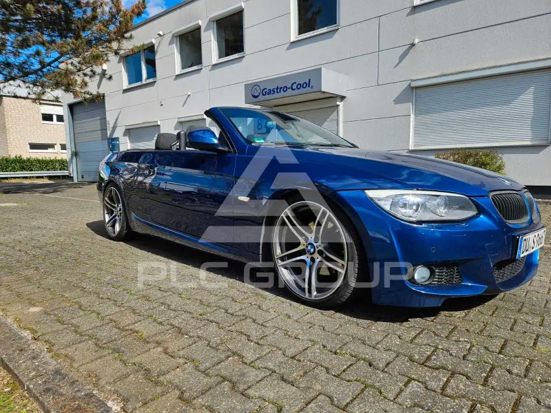 2010 BMW 320