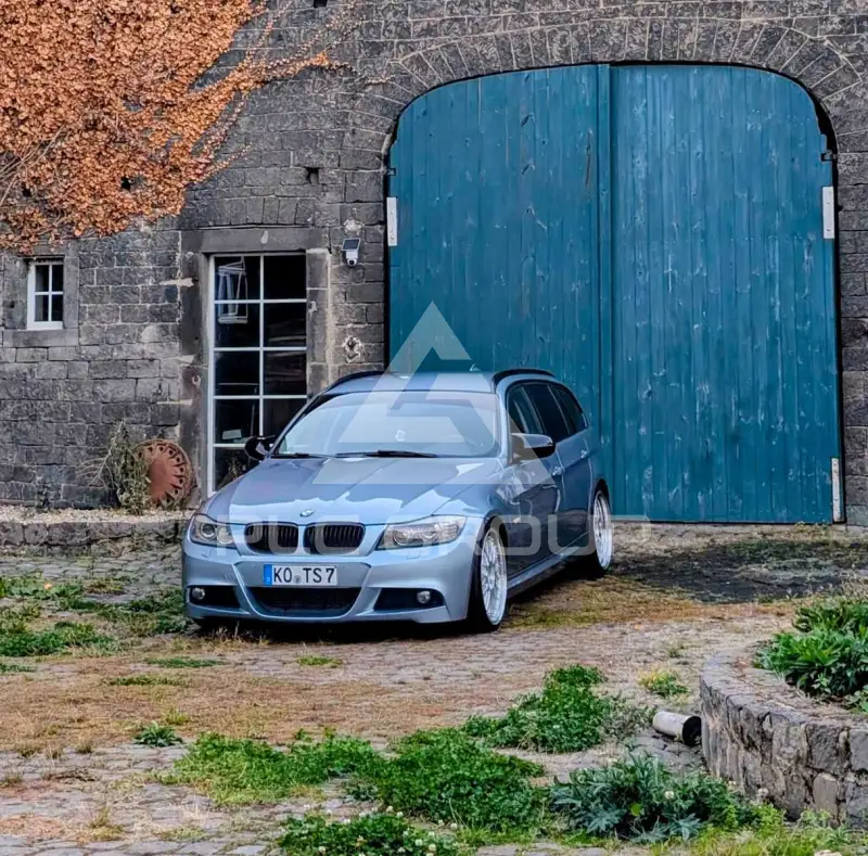 2010 BMW 320