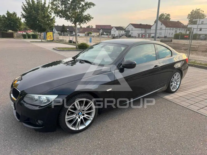2010 BMW 320