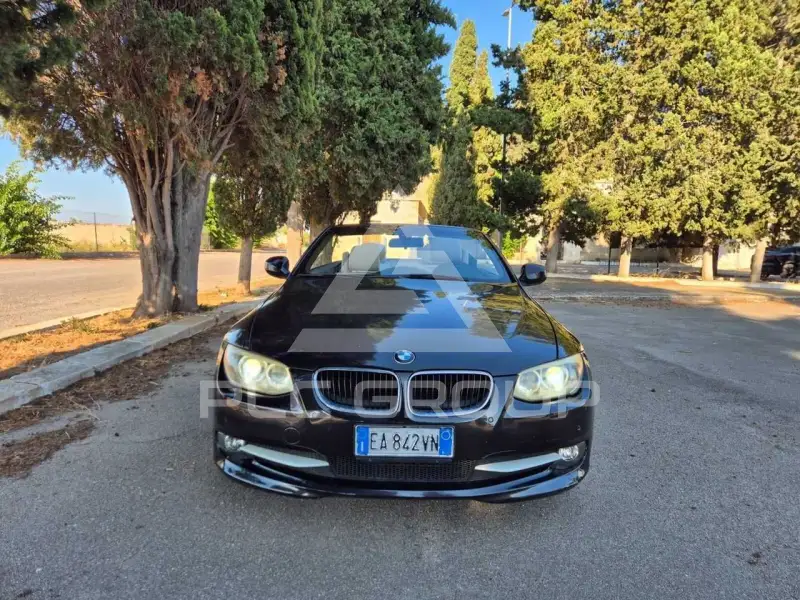 2010 BMW 320