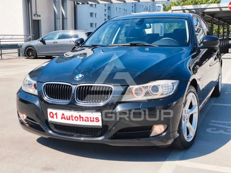 2010 BMW 320
