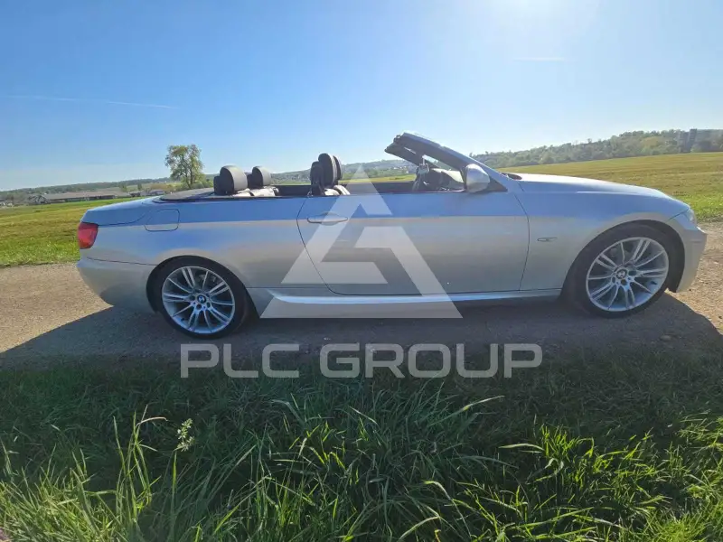 2010 BMW 320