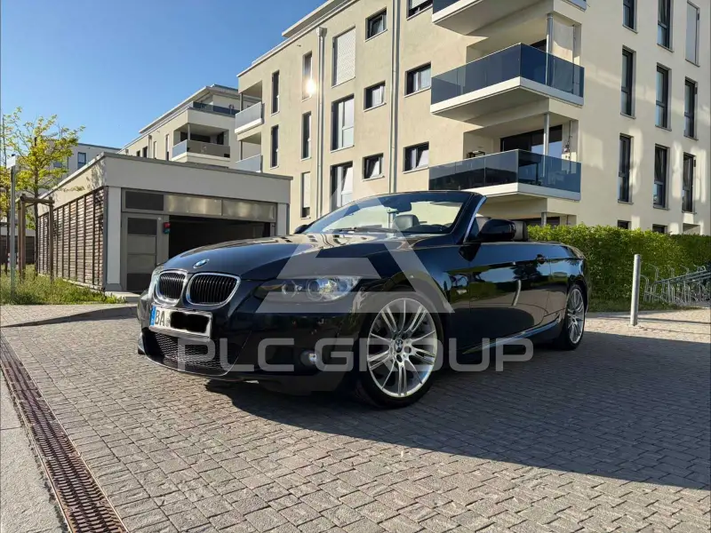 2010 BMW 320