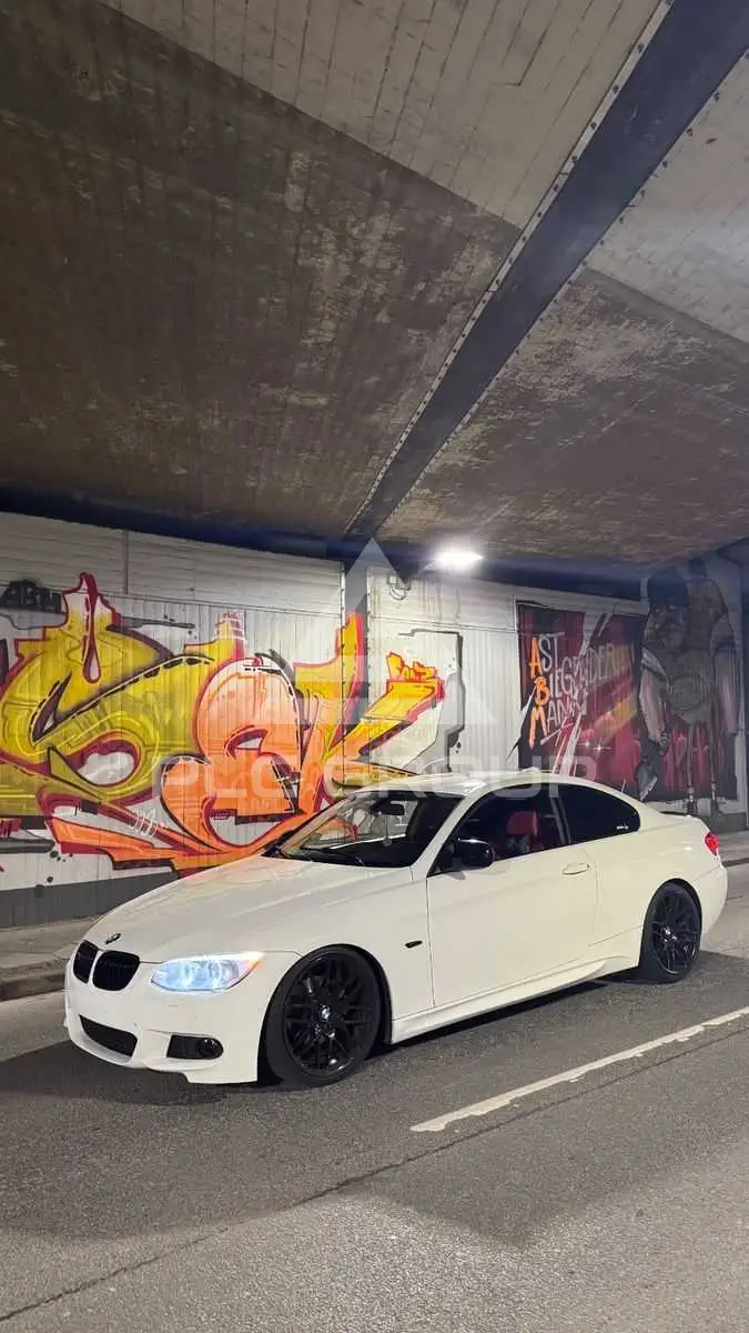 2010 BMW 320