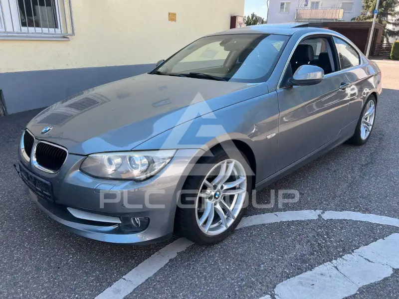 2010 BMW 320