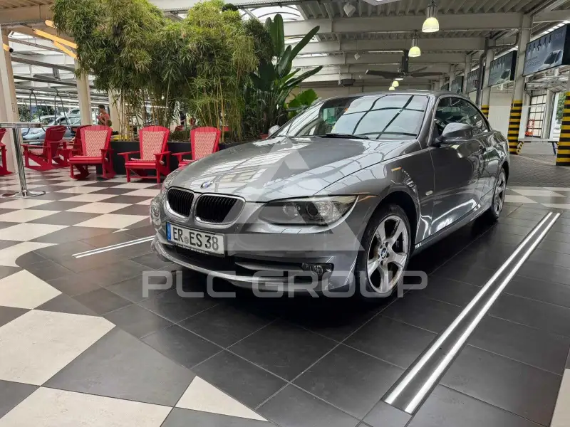 2010 BMW 320