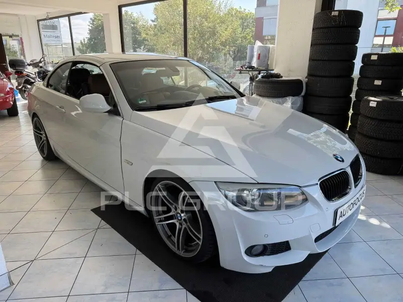 2010 BMW 320