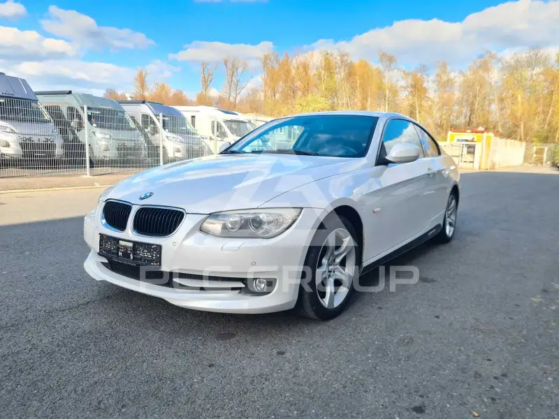2010 BMW 320