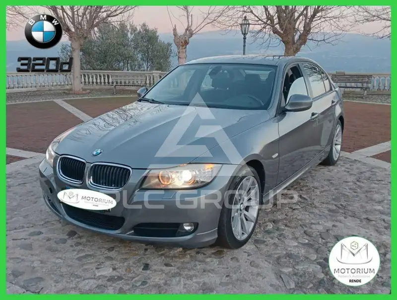 2010 BMW 320