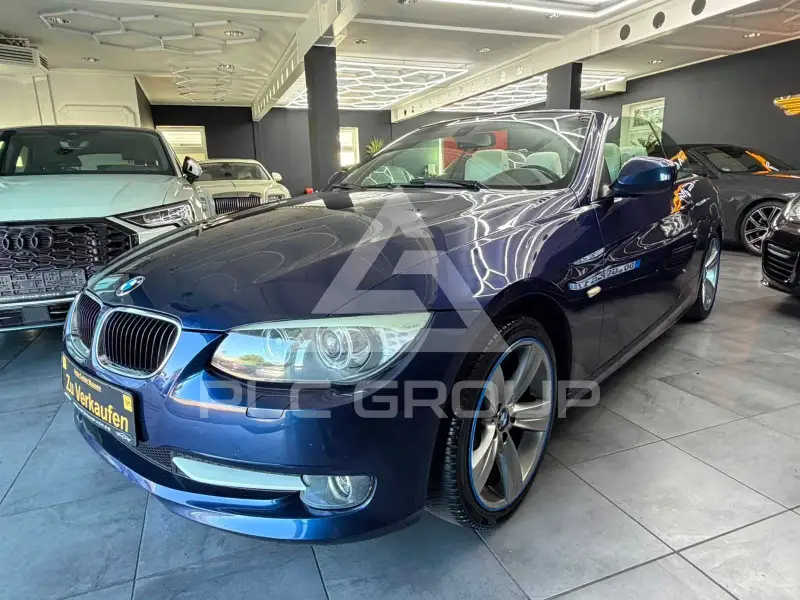 2010 BMW 320