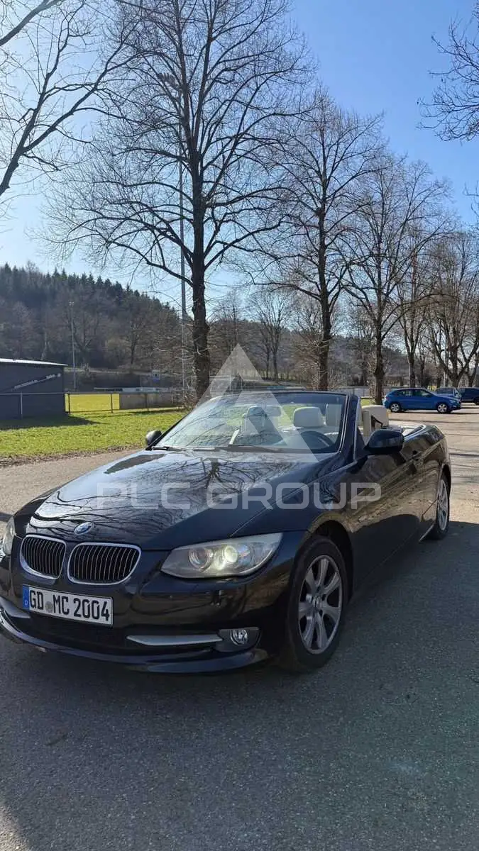 2010 BMW 320