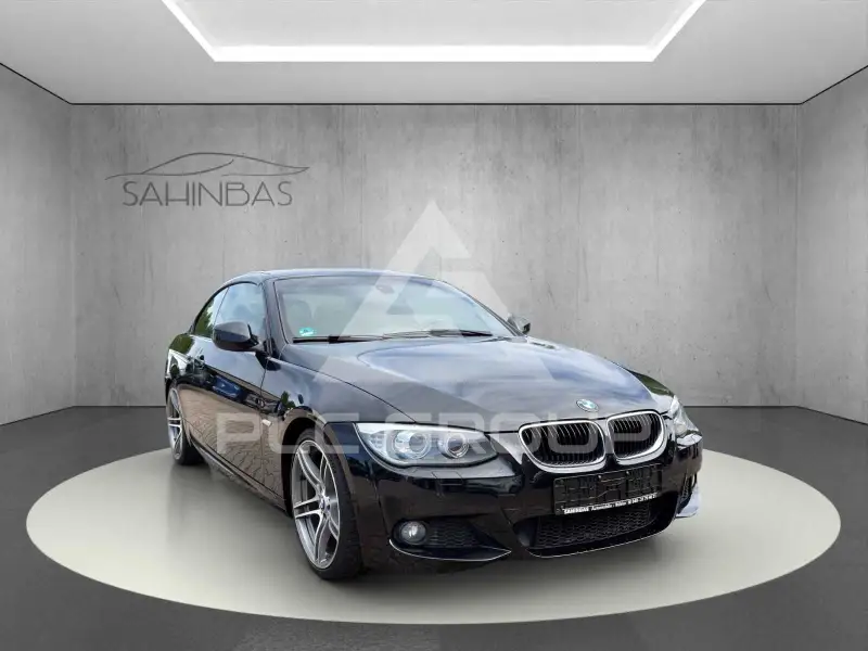 2010 BMW 320