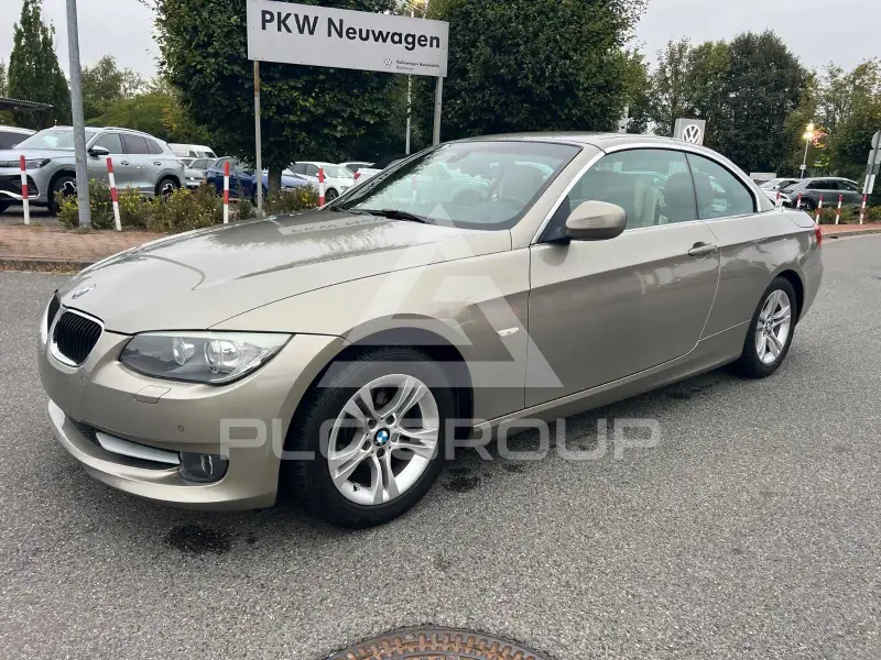 2010 BMW 320