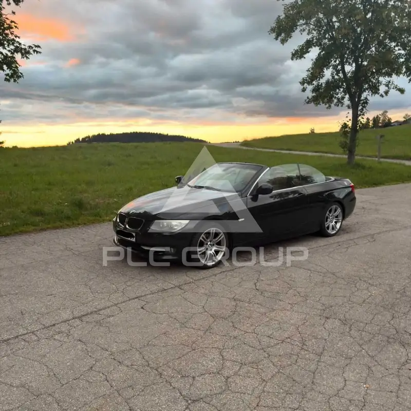 2010 BMW 320