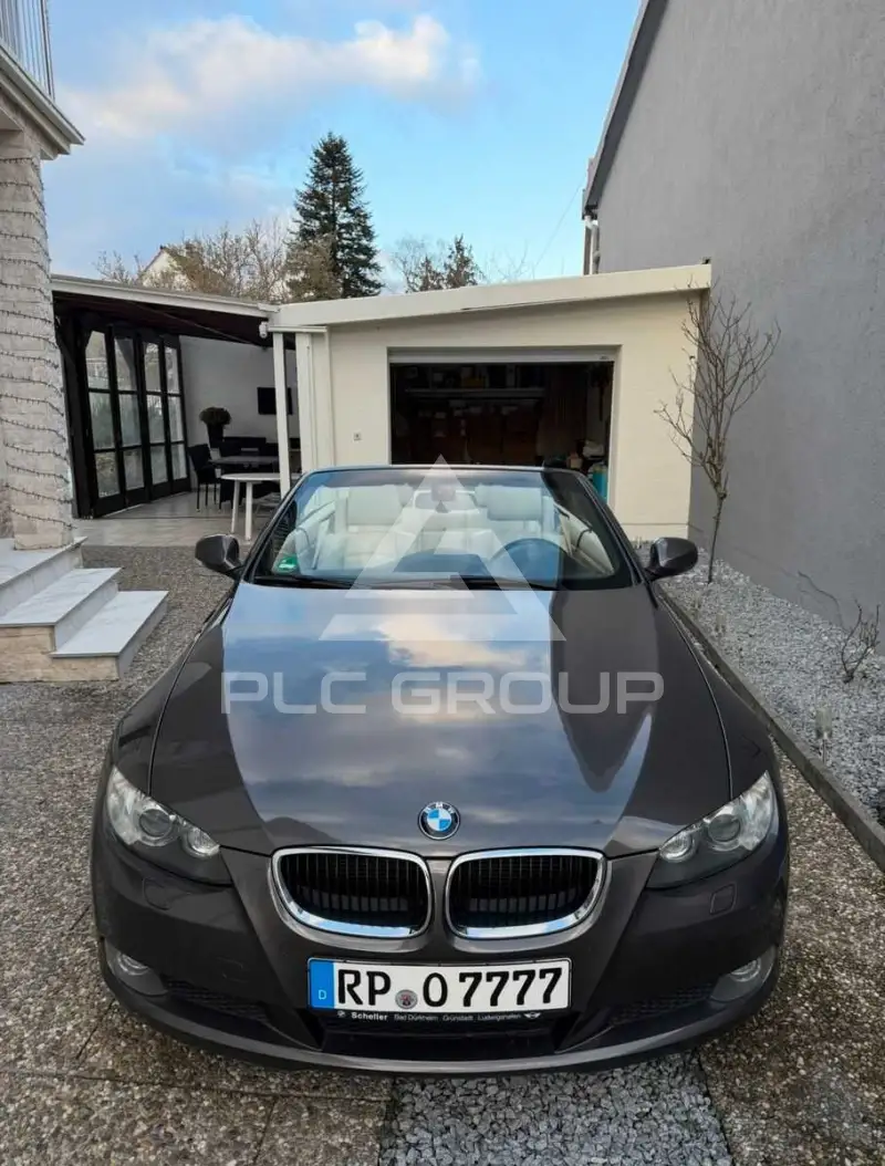 2010 BMW 320