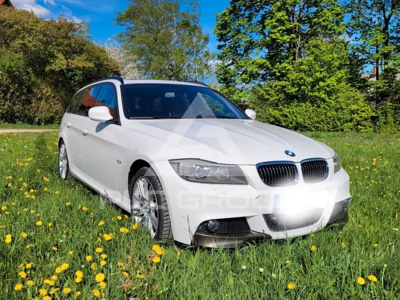 2010 BMW 330