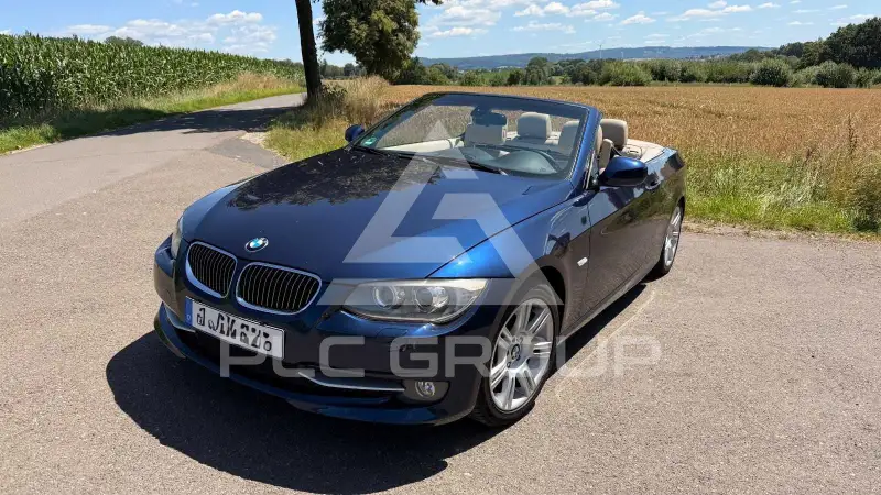 2010 BMW 330