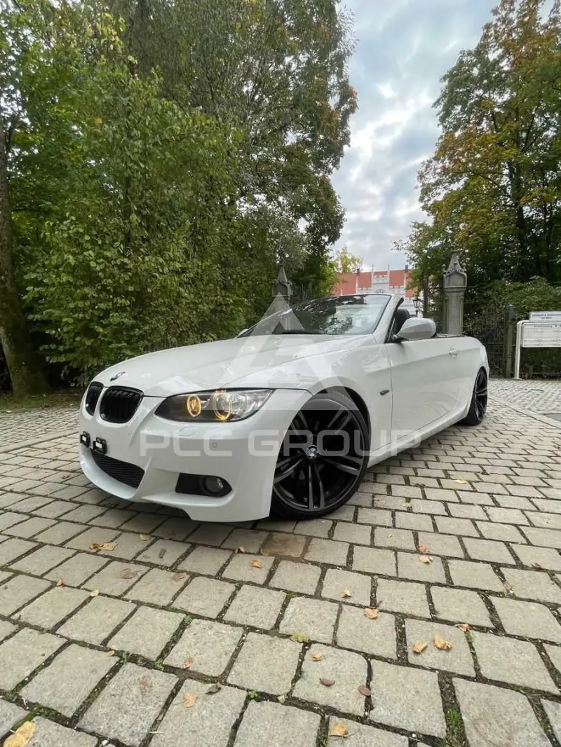 2010 BMW 330