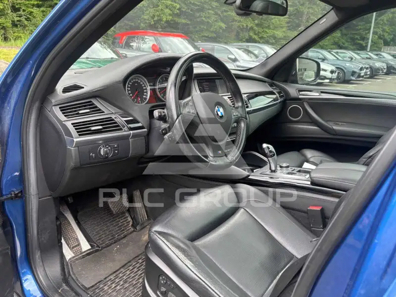 2010 BMW X5