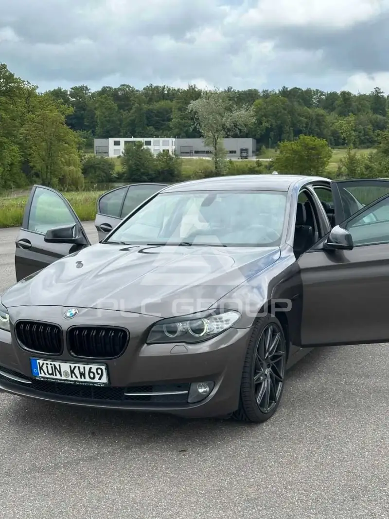 2010 BMW 520