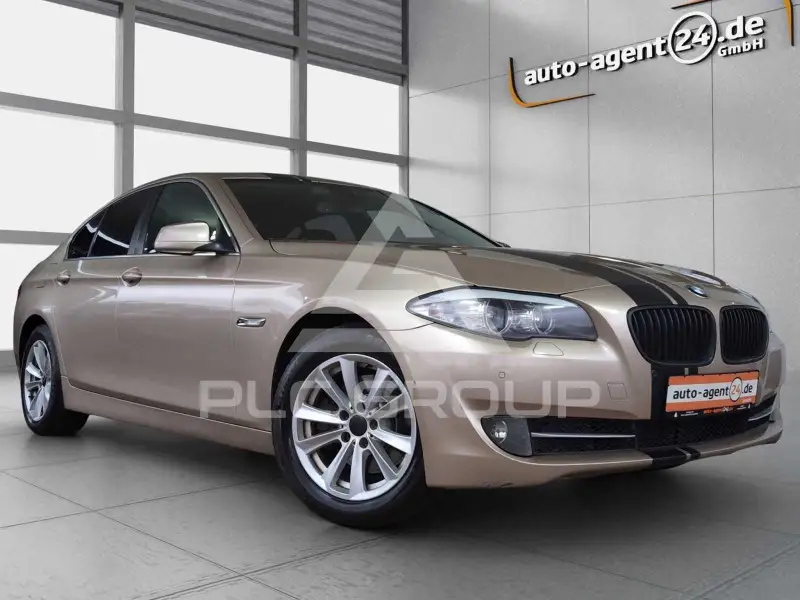 2010 BMW 520