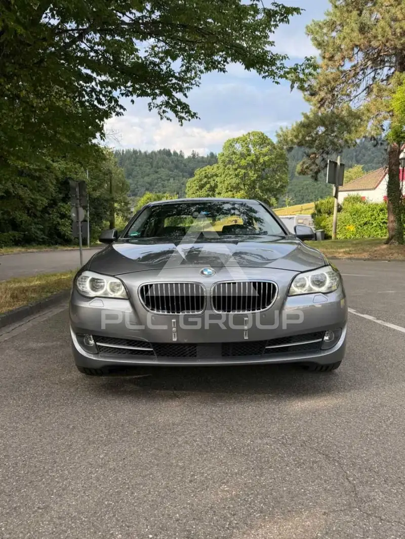 2010 BMW 520