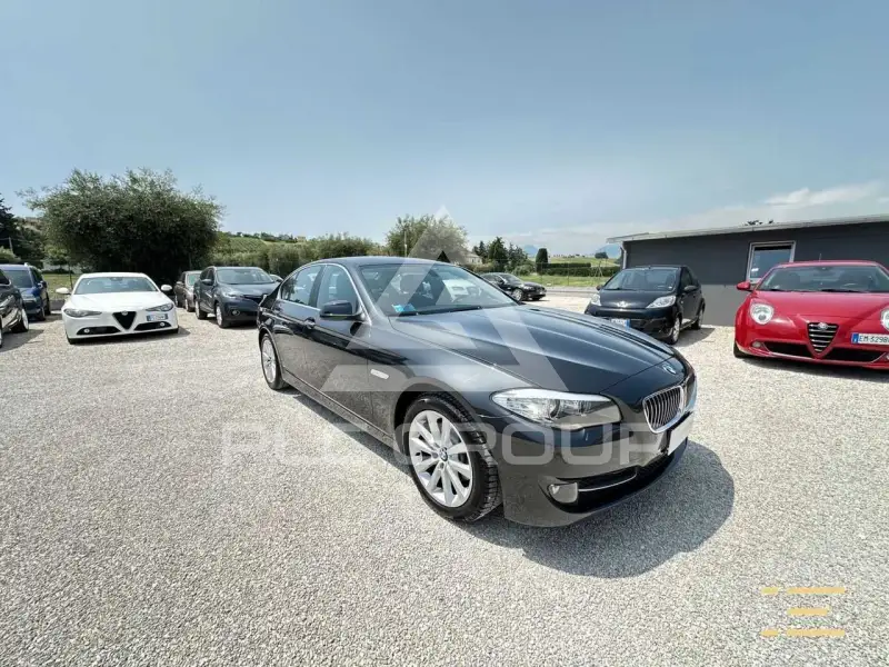2010 BMW 520