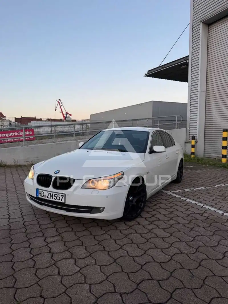 2010 BMW 520
