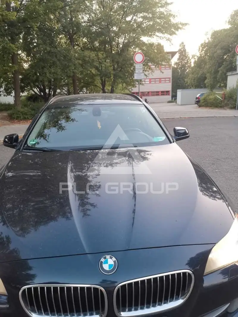 2010 BMW 520