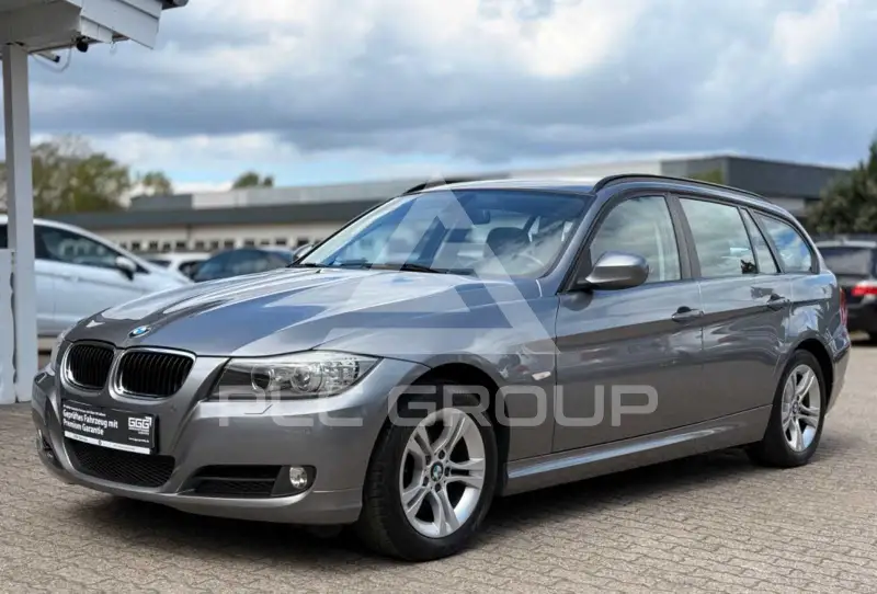 2010 BMW 318