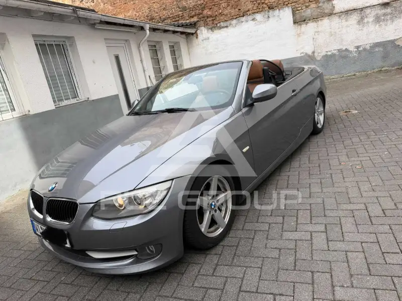 2010 BMW 318