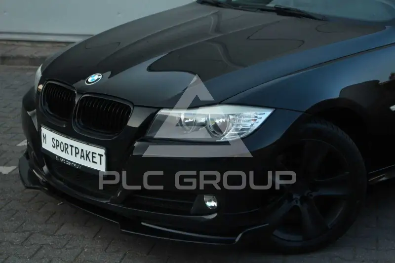 2010 BMW 318