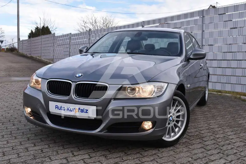 2010 BMW 318