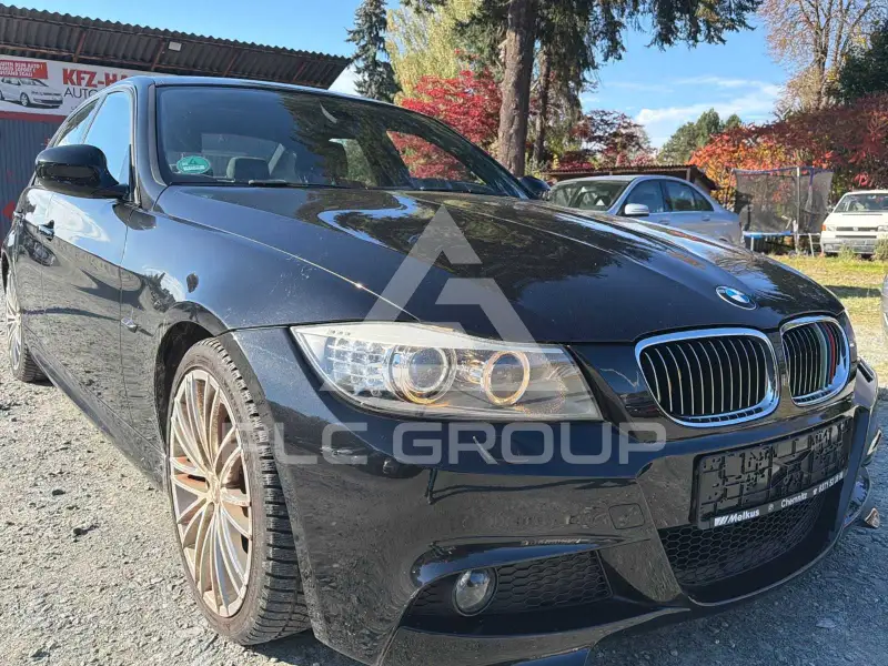 2010 BMW 318