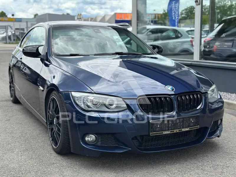 2010 BMW 318