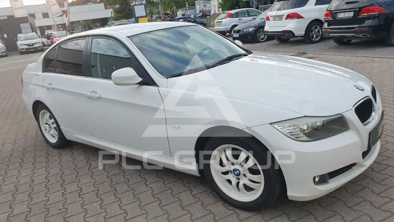 2010 BMW 318