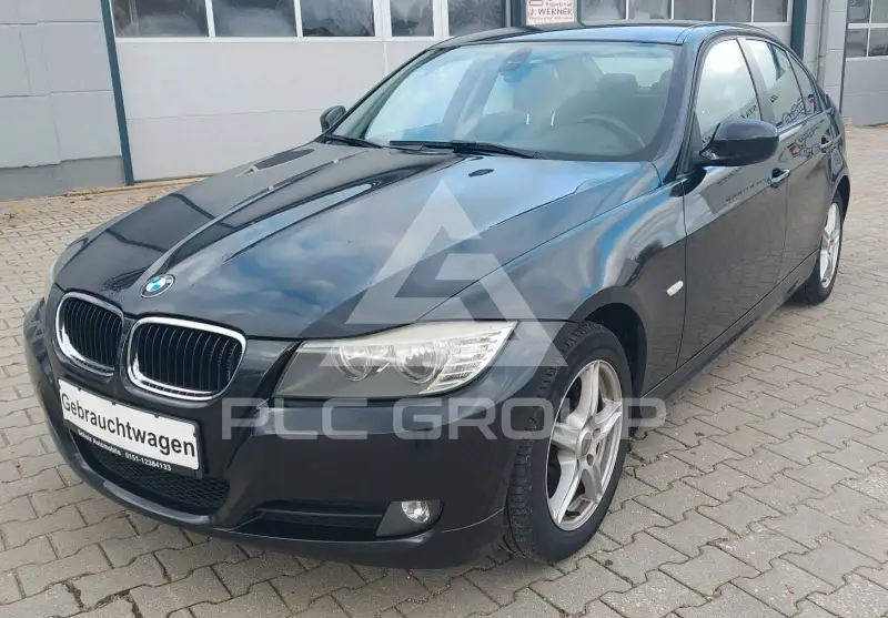 2010 BMW 318