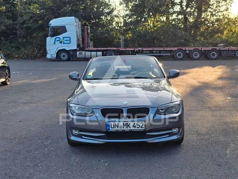2010 BMW 318