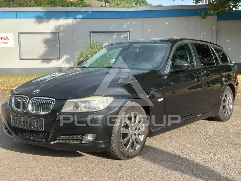 2010 BMW 318