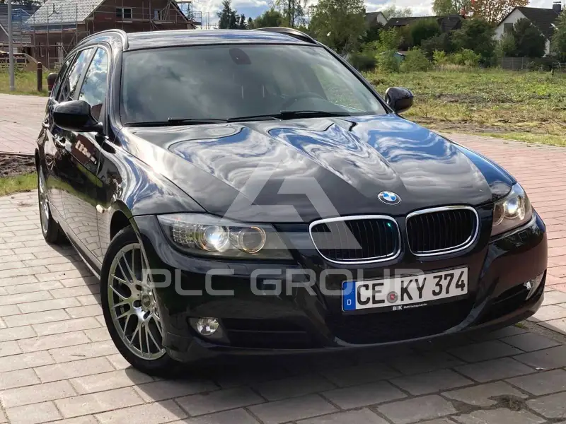 2010 BMW 318