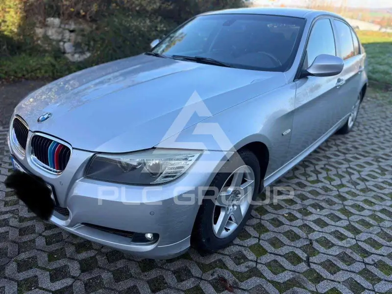 2010 BMW 318