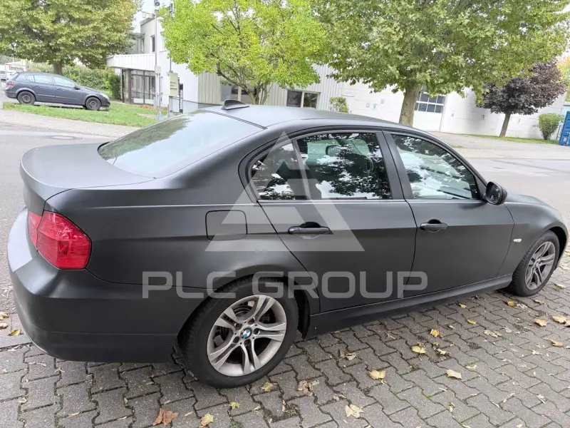 2010 BMW 318