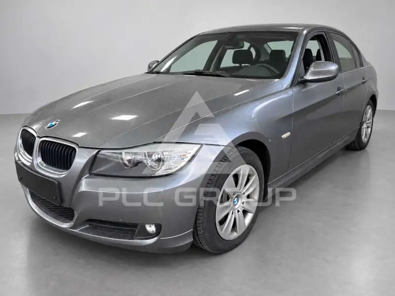 2010 BMW 318