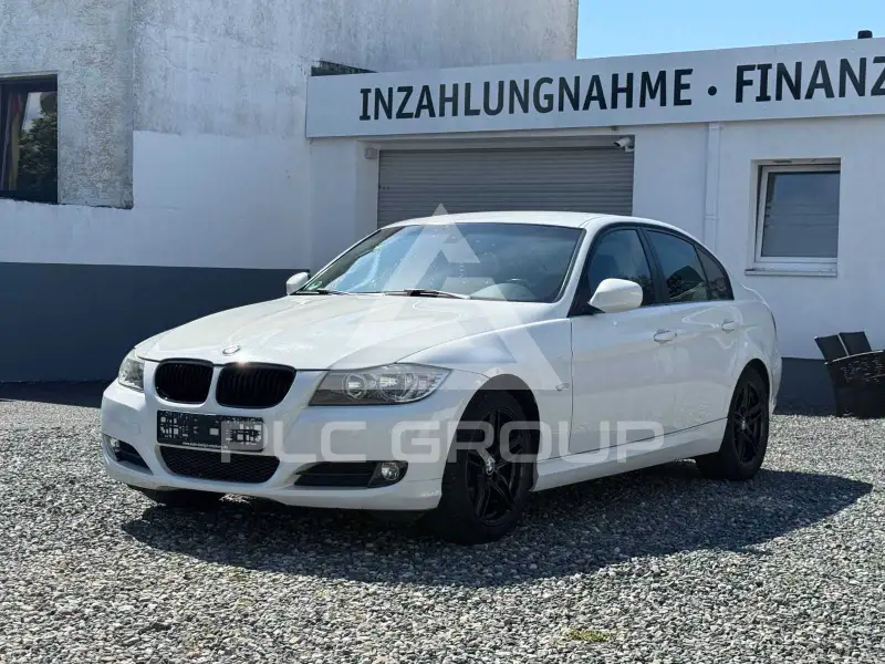 2010 BMW 318
