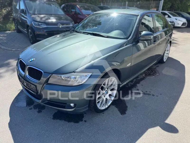 2010 BMW 318