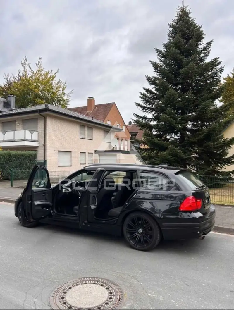 2010 BMW 318