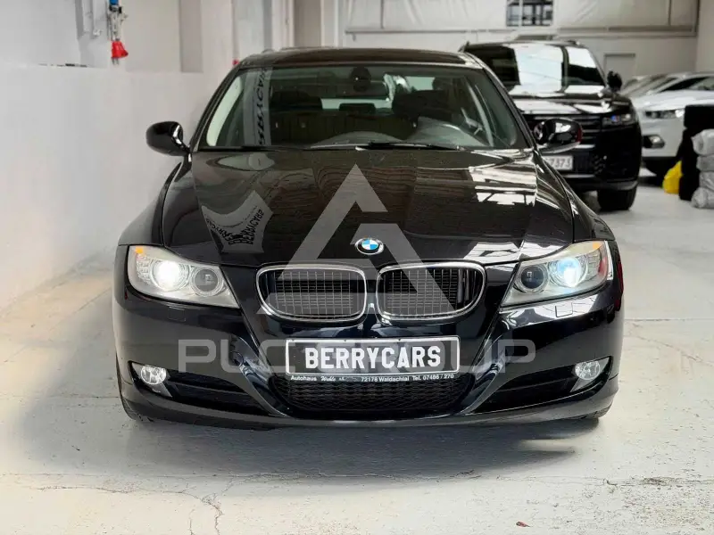 2010 BMW 318
